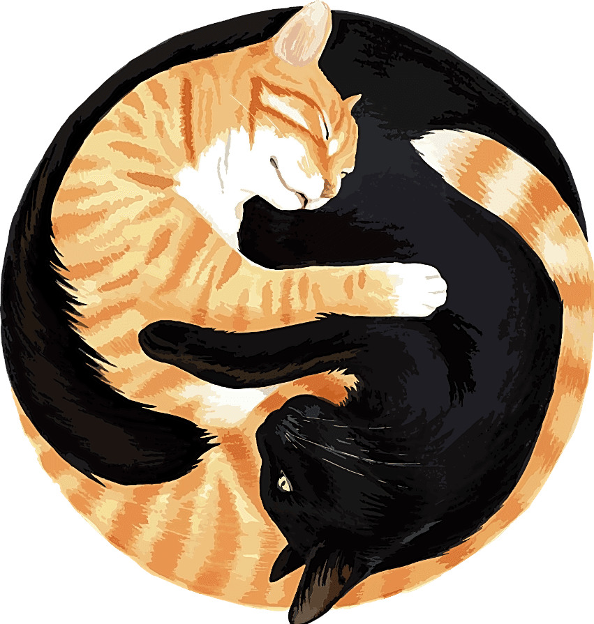 Cole and Marmalade logo