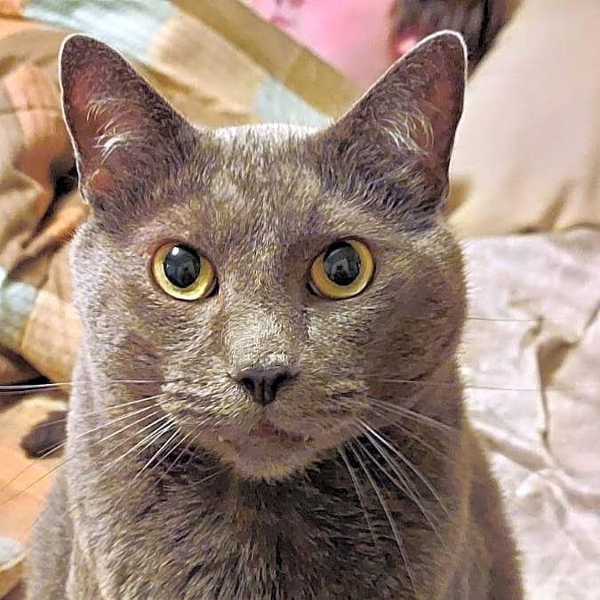 Photo of Booker