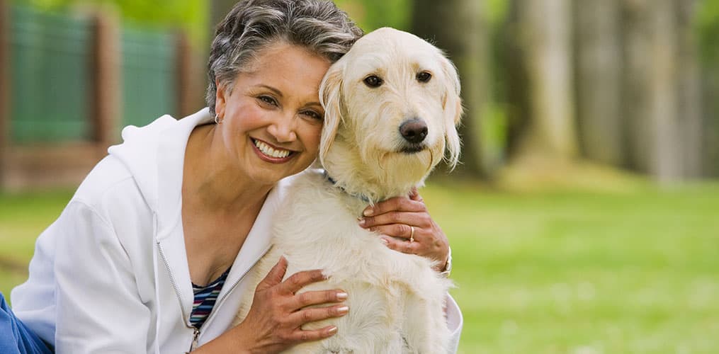 Dog Hernia Surgery: How Much Can You Expect to Pay?