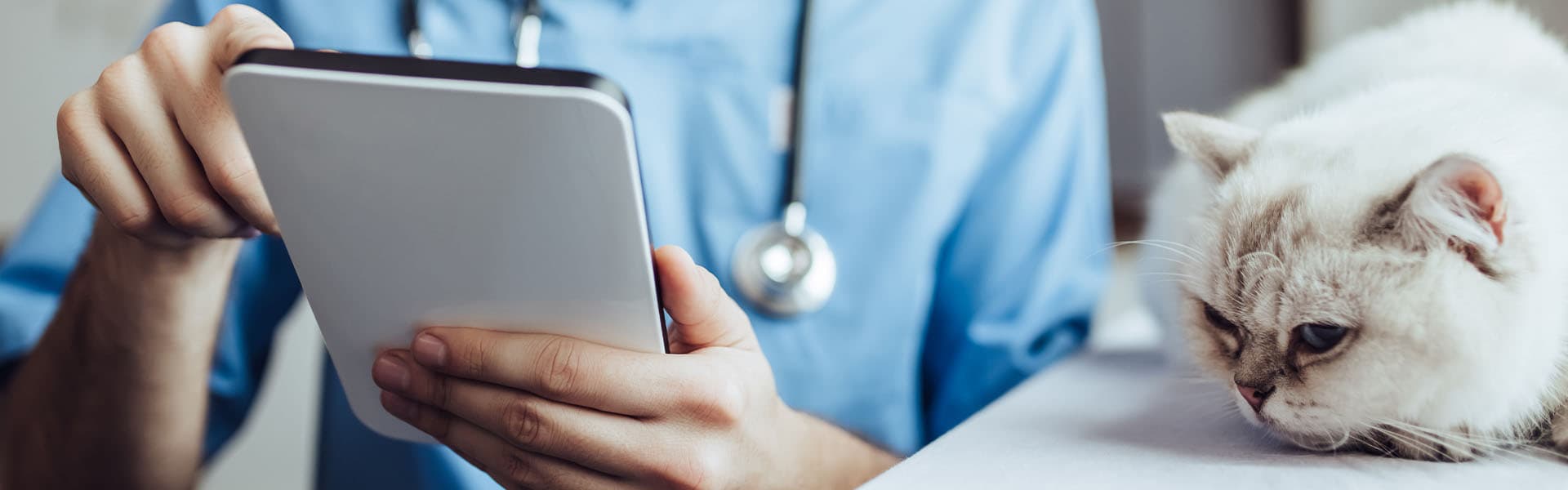 Financial Help for Emergency Veterinary Care: How to Pay an Unexpected Bill