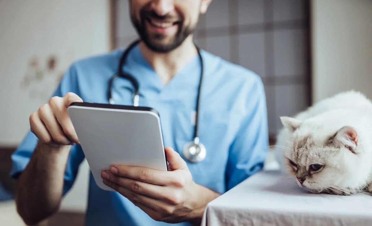 A Pet Parent’s Guide to Insurance: Caring for Them Through the Unexpected